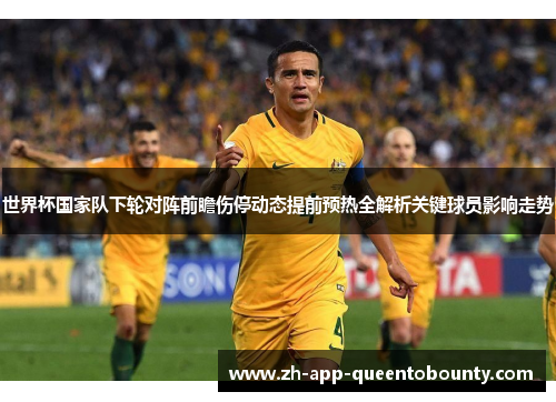 世界杯国家队下轮对阵前瞻伤停动态提前预热全解析关键球员影响走势